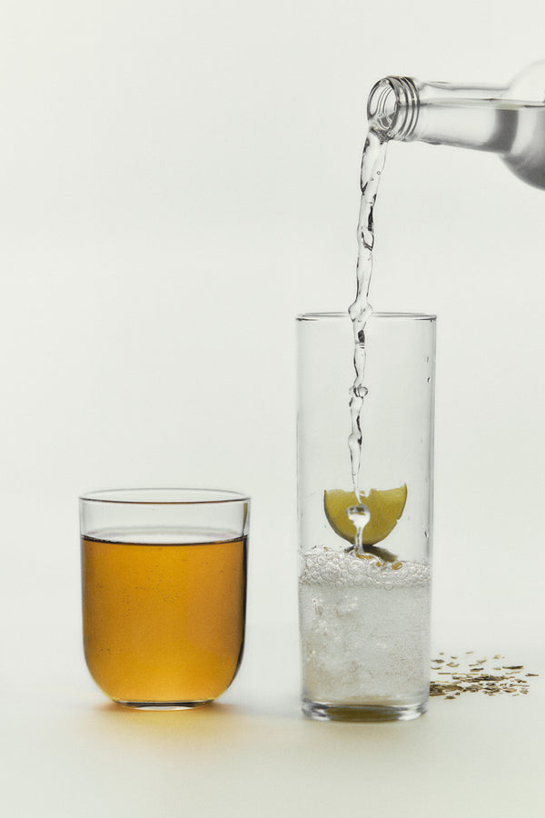 FUENTE DE NUTRIENTES